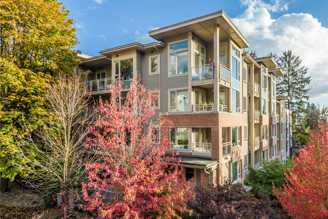 Anderson Walk in North Vancouver, BC - Building Photo - Building Photo