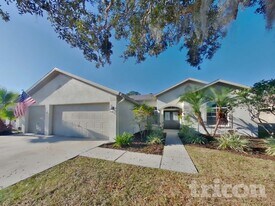 29531 Allegro Dr in Zephyrhills, FL - Building Photo