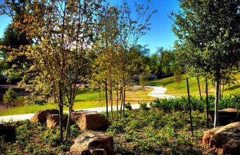 24918 Meadowthorn Crest Ln in Katy, TX - Building Photo - Building Photo