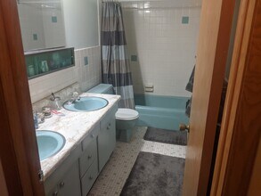413 S Charter St, Unit 1 in Madison, WI - Building Photo - Building Photo