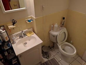294 Harvard St, Unit 279-32 in Cambridge, MA - Building Photo - Building Photo
