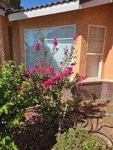 1101 E Cinnamon Dr in Lemoore, CA - Building Photo - Building Photo