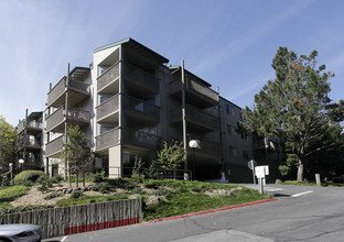 Crown Colony in Daly City, CA - Building Photo - Building Photo