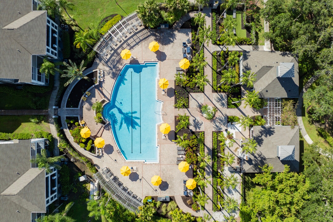 Crosswynde Apartments in Tampa, FL - Building Photo