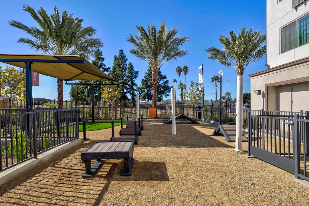 Vineyards in Ontario, CA - Building Photo