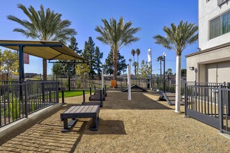 Vineyards in Ontario, CA - Building Photo - Building Photo