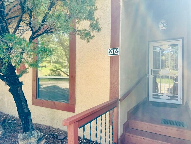 property at 202 Alto Alps Rd
