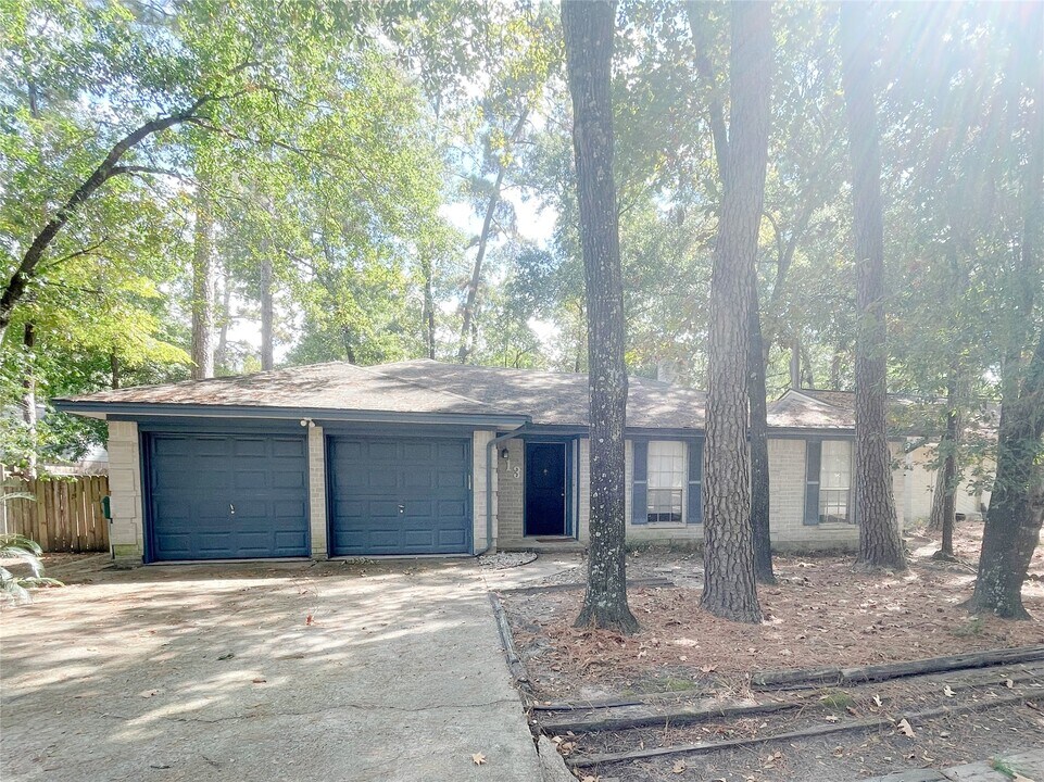 13 N Deerfoot Cir in Spring, TX - Building Photo