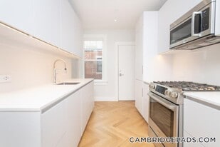 19A Forest St, Unit 44 in Cambridge, MA - Building Photo