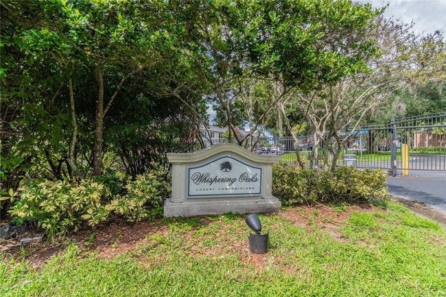 13692 Orange Sunset Dr in Tampa, FL - Building Photo - Building Photo