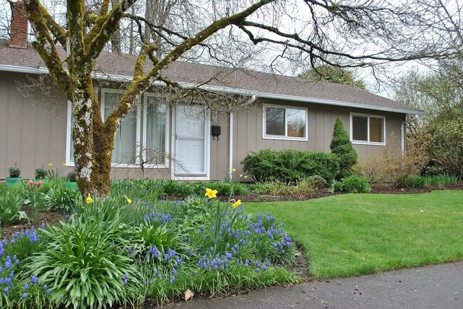 property at 1445 NW 11th St