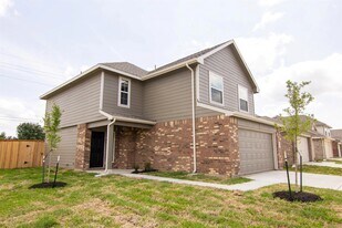 24203 Veratti Ln in Katy, TX - Building Photo