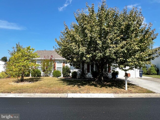 8 Rose Terrace in Newark, DE - Building Photo - Building Photo