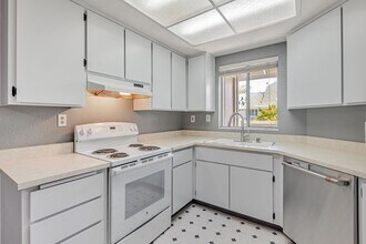 540 Shadowgraph Dr in San Jose, CA - Building Photo - Building Photo