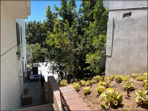 2387 Mt Olympus Dr in Los Angeles, CA - Building Photo - Building Photo