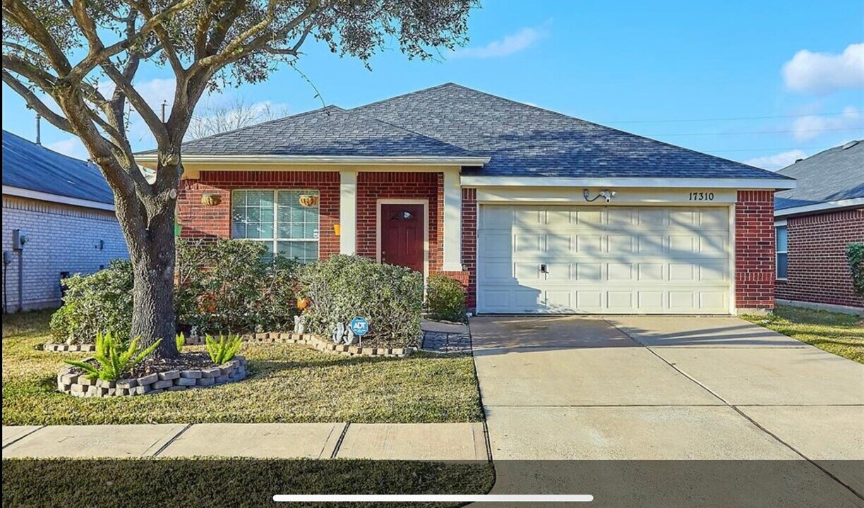 17310 Brookhollow Mist Ct in Houston, TX - Building Photo
