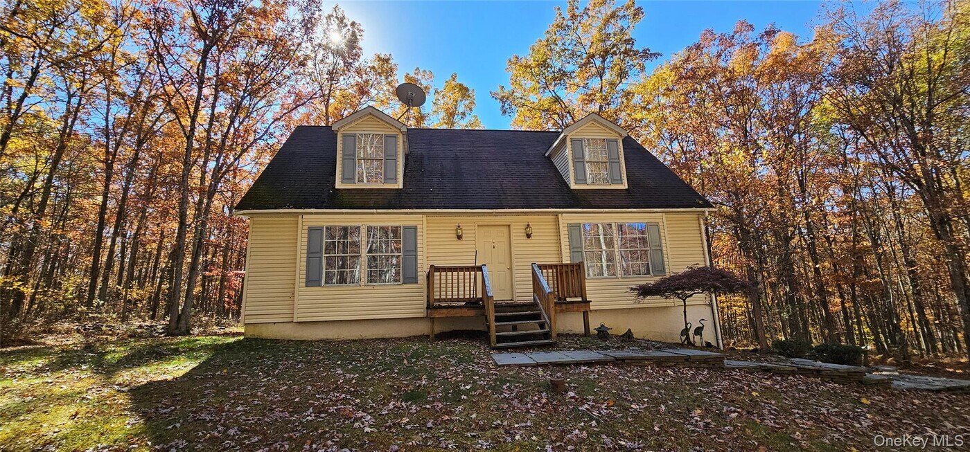 323 Cushetunk Dr in Cochecton, NY - Building Photo