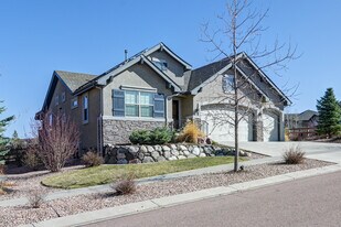 1382 Morro Bay Way in Colorado Springs, CO - Building Photo