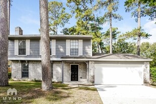25515 Mill Pond Ln in Spring, TX - Building Photo