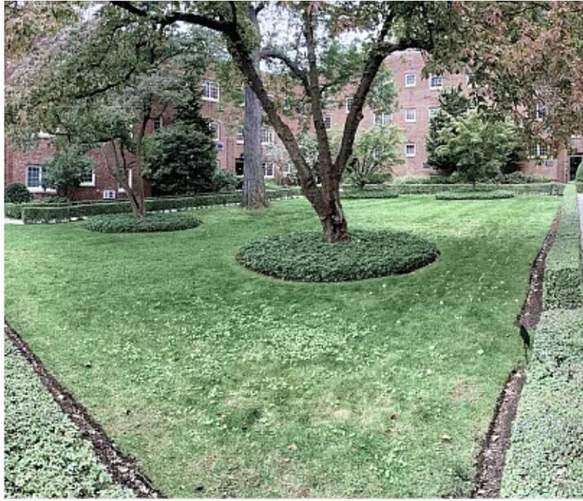 30 St Paul St, Unit 6 in Brookline, MA - Building Photo - Building Photo