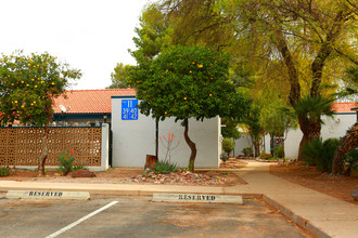 Lander Gardens in Tucson, AZ - Building Photo - Building Photo