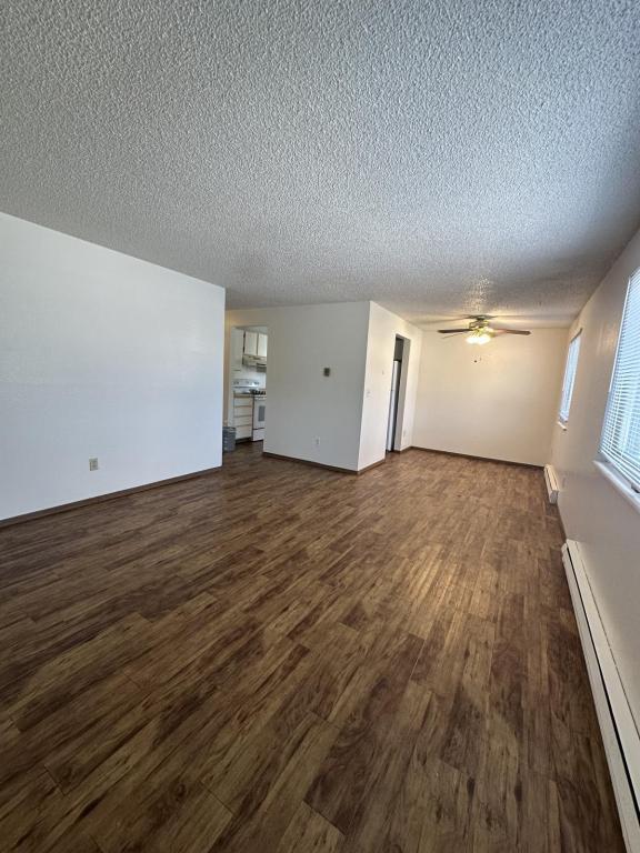 1804 Lily Pl in Loveland, CO - Building Photo - Building Photo
