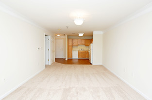 Gardens Of Stafford Senior Apartment Homes in Stafford, VA - Building Photo - Interior Photo