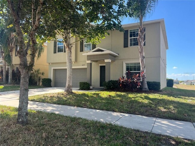 10259 Strawberry Tetra Dr in Riverview, FL - Foto de edificio - Building Photo