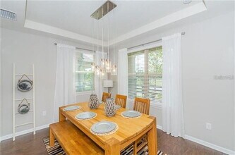 11916 Blamey Trl in Odessa, FL - Building Photo - Building Photo