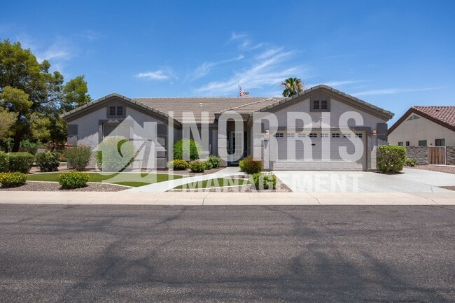 946 W Torrey Pines Blvd in Casa Grande, AZ - Building Photo - Building Photo