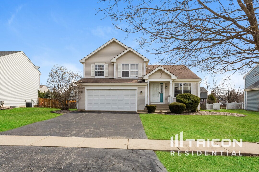 814 Carlyle Dr in New Lenox, IL - Building Photo