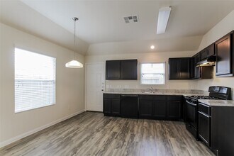 24322 Dolce Marina Ct in Katy, TX - Building Photo - Building Photo