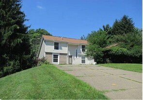 223 Springhouse Ln in Pittsburgh, PA - Building Photo