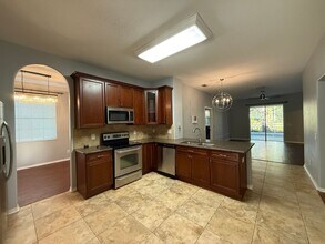 3004 Downan Point Dr in Land O Lakes, FL - Building Photo - Building Photo