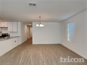 12911 Hyssop Mdw in Saint Hedwig, TX - Building Photo - Building Photo