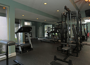 Coral Club in Houston, TX - Building Photo - Interior Photo