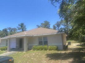 1091 N Lion Cub Point in Lecanto, FL - Building Photo