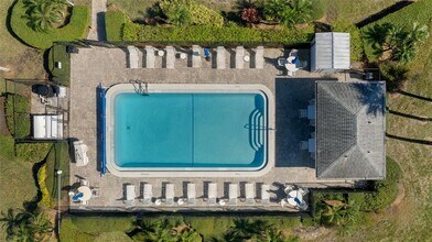 219 Cypress Ct in Oldsmar, FL - Building Photo - Building Photo