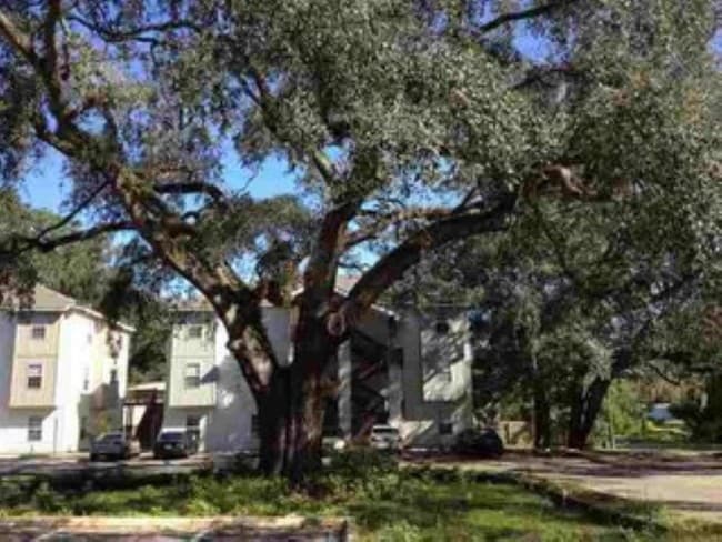500 McKeithen St in Tallahassee, FL - Building Photo - Building Photo