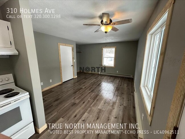 310 Holmes Ave in Brandon, MN - Building Photo - Building Photo