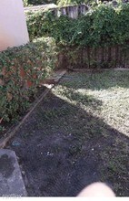 126 SE 10th St in Hallandale Beach, FL - Building Photo - Building Photo