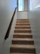 848 Acalanes Rd in Lafayette, CA - Building Photo