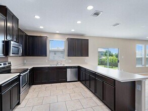 904 Lonesome Lilly Way in Pflugerville, TX - Building Photo - Building Photo