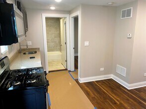 1828 S Allport St in Chicago, IL - Building Photo - Building Photo