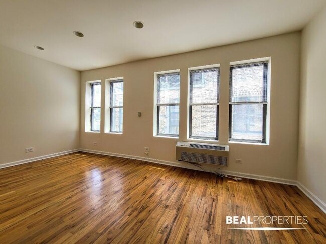 917 W Dakin St in Chicago, IL - Building Photo - Building Photo