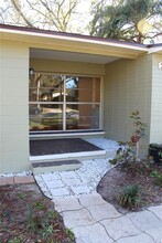 209 Redwood Ave in Temple Terrace, FL - Building Photo - Building Photo