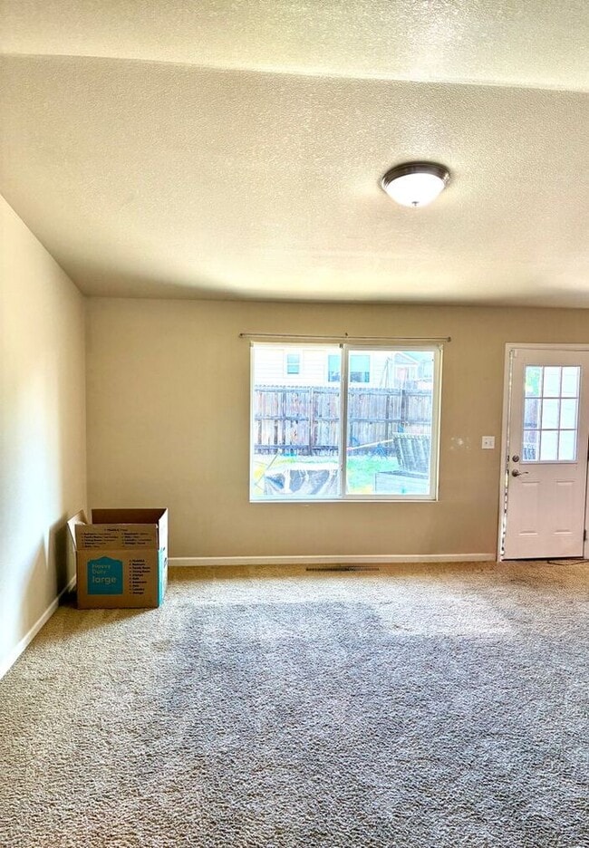 928 Centaurus Pl in Loveland, CO - Building Photo - Building Photo