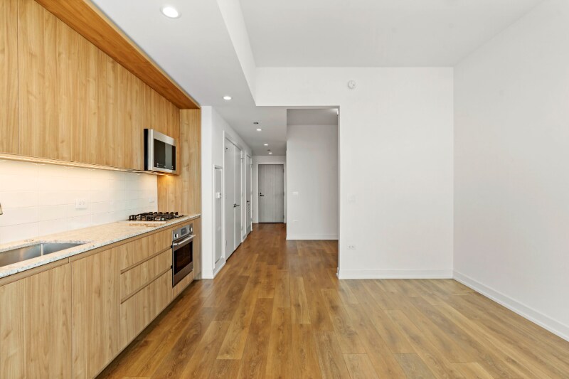 197 W Hill St in Chicago, IL - Building Photo