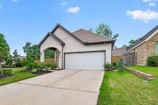 305 Rise Ln in Montgomery, TX - Building Photo