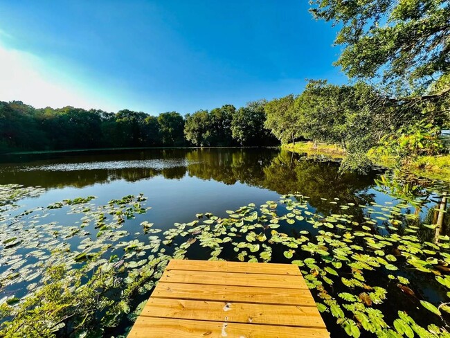 1610 Palm Leaf Dr in Brandon, FL - Building Photo - Building Photo